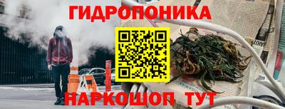 дживик Новодвинск