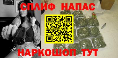 гашик Новокубанск