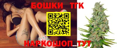 гашик Новокубанск